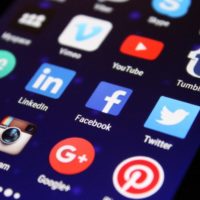 SEO Client Profile 2