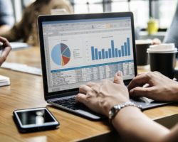 We will gather an analysis to see what the most searched phrases are used by people who are in a target market area you want.